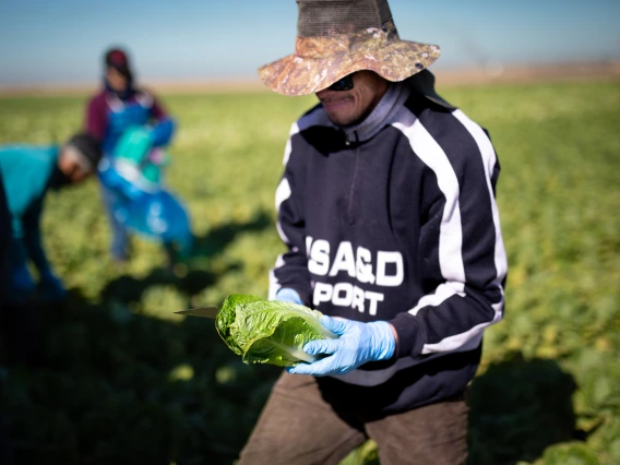 farmworker