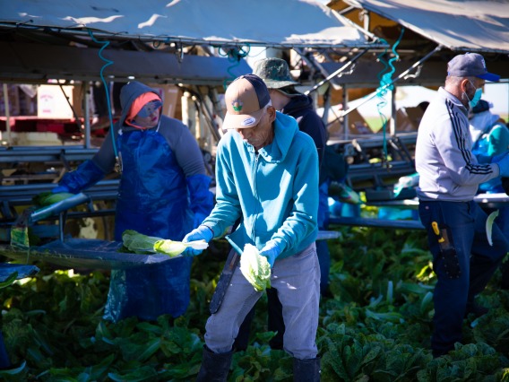 farmworkers