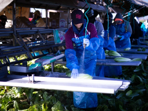 farmworker