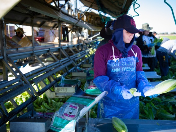 farmworker