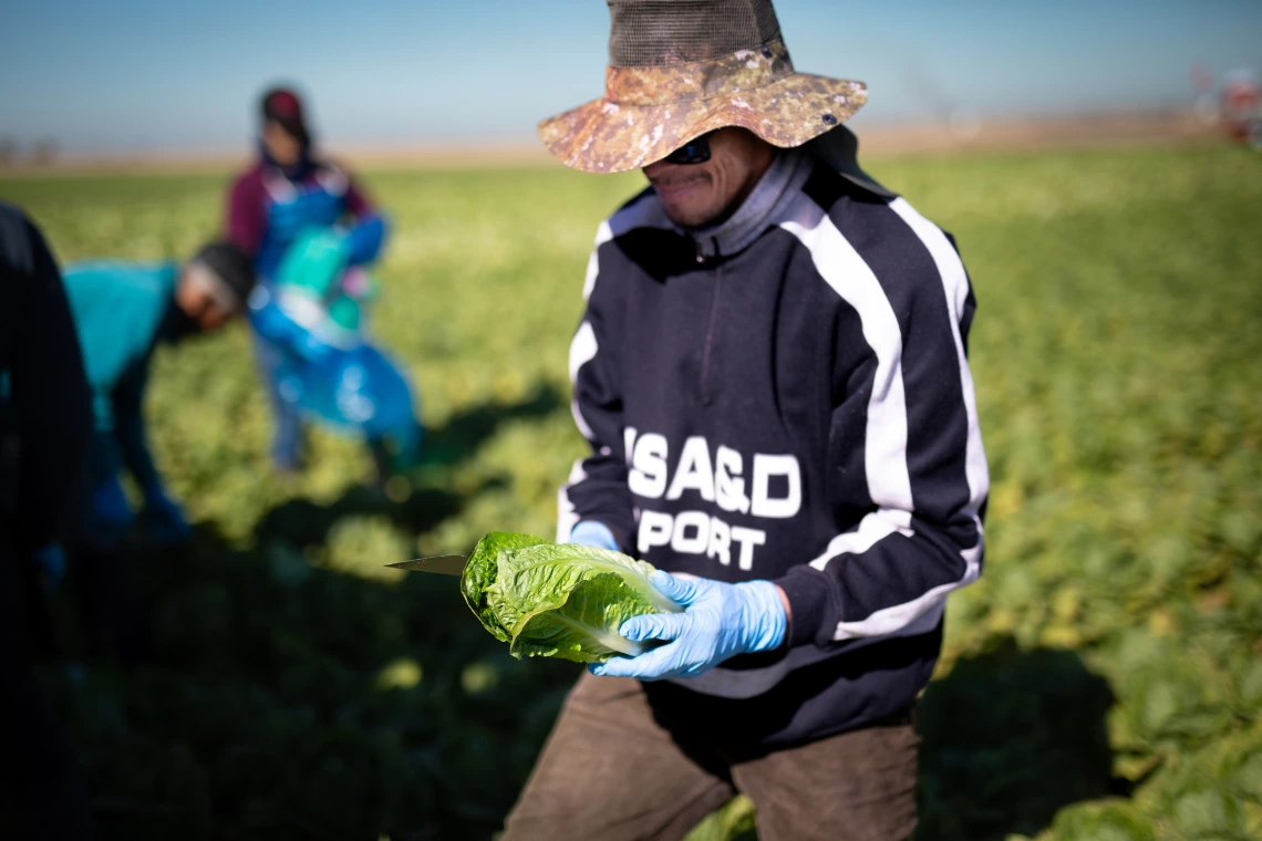 farmworker