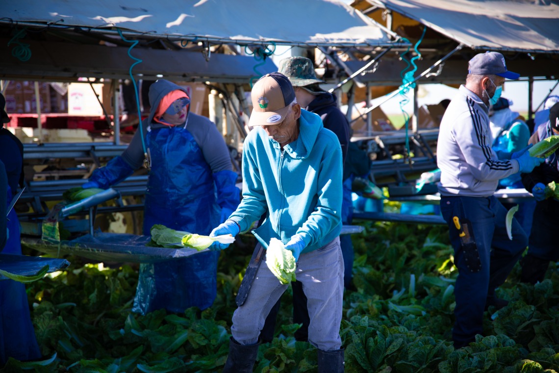 farmworkers