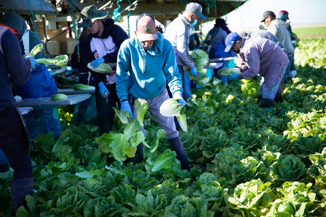 farmworker