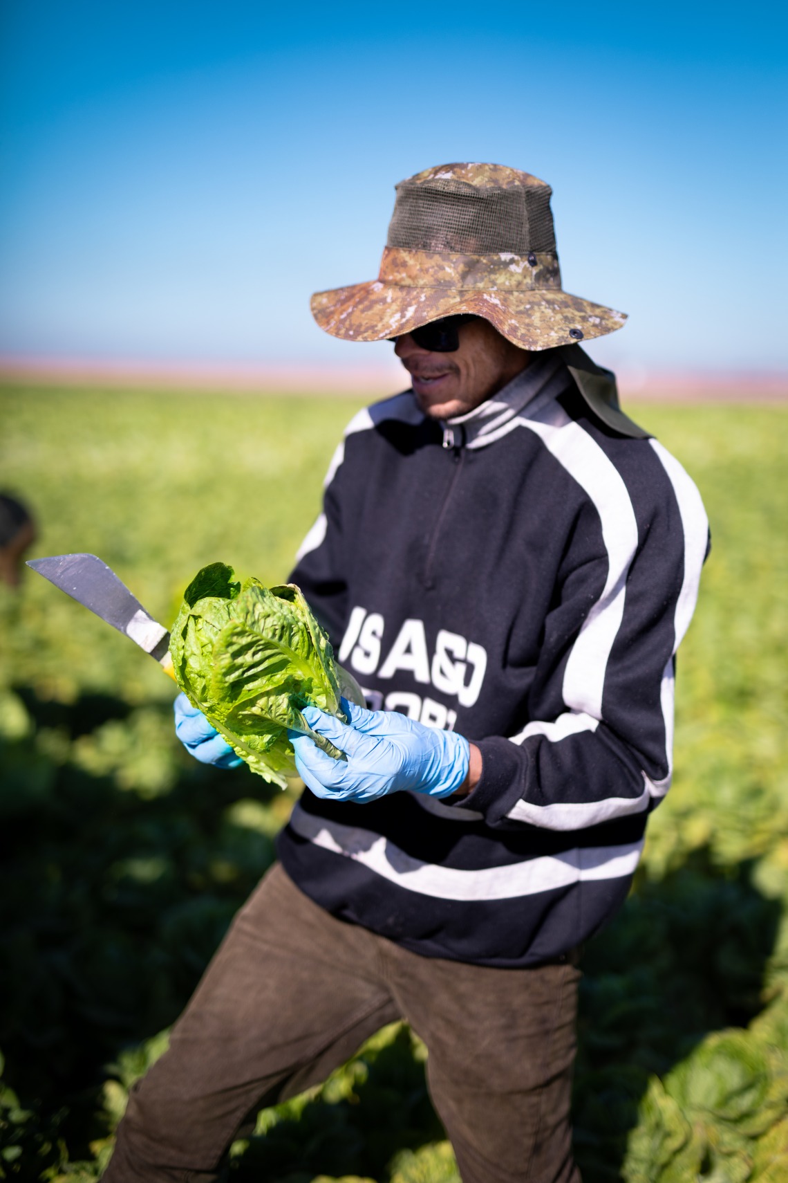 farmworker