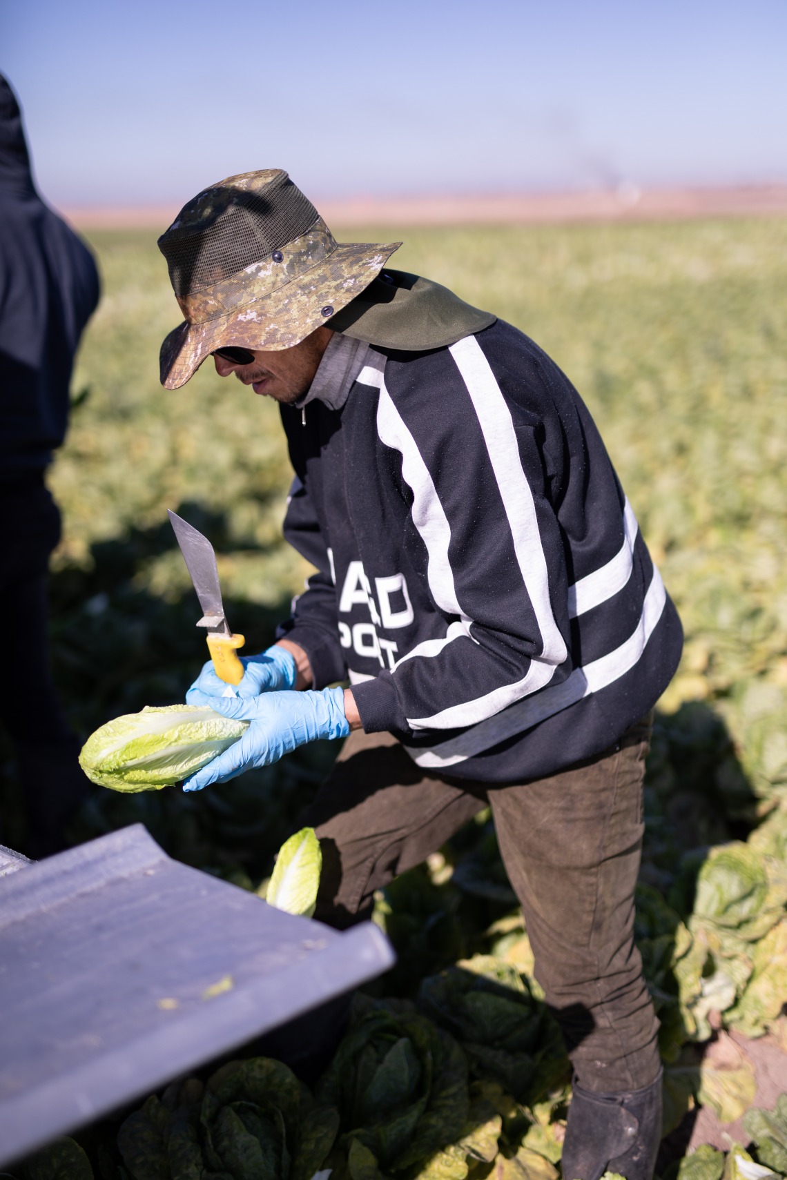 farmworker