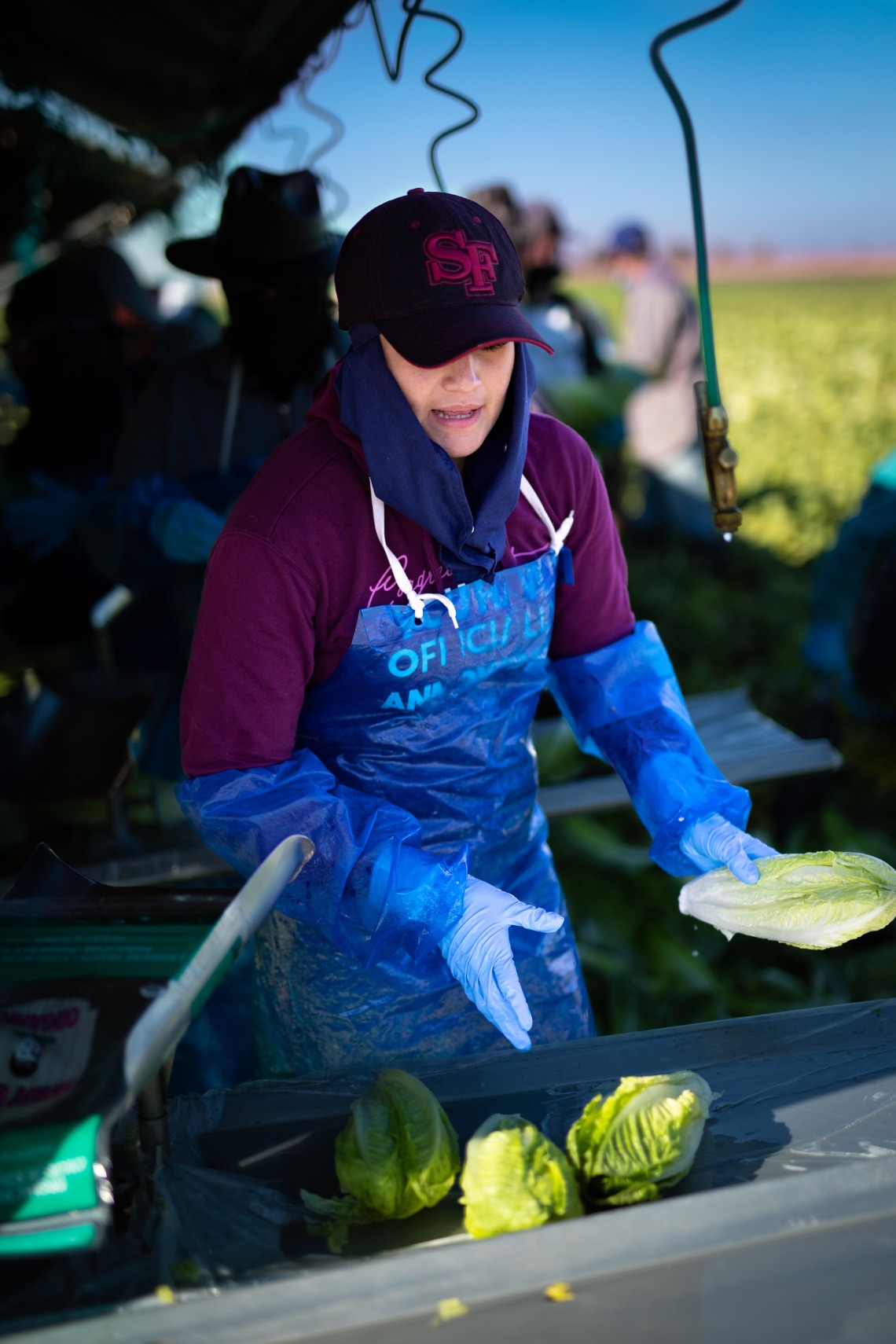 farmworker