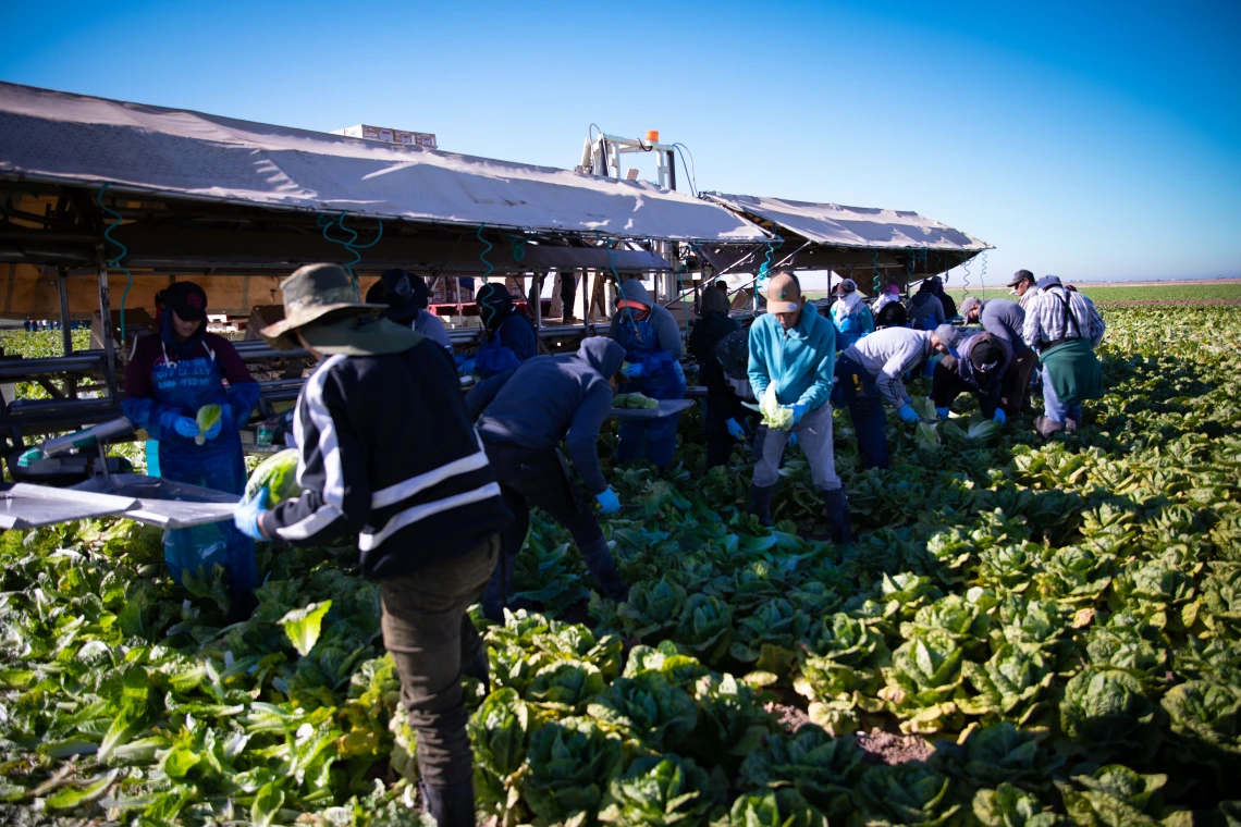 farm