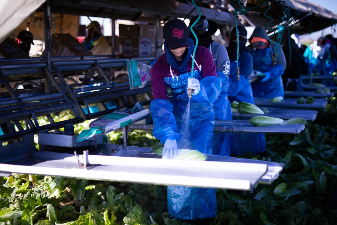 farmworker