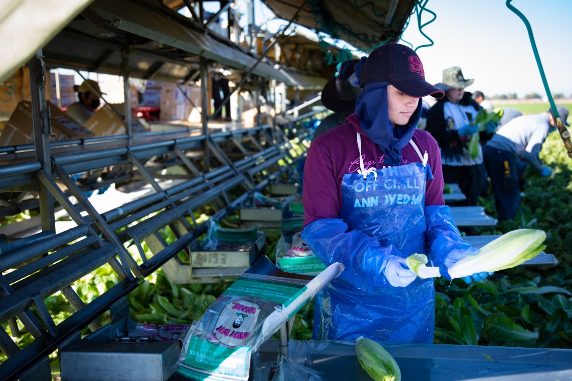 farmworker